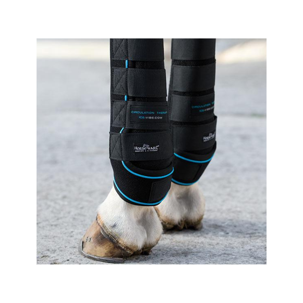 Ice Boots For Horses Horse Tendon Boots Australia Completely Equine