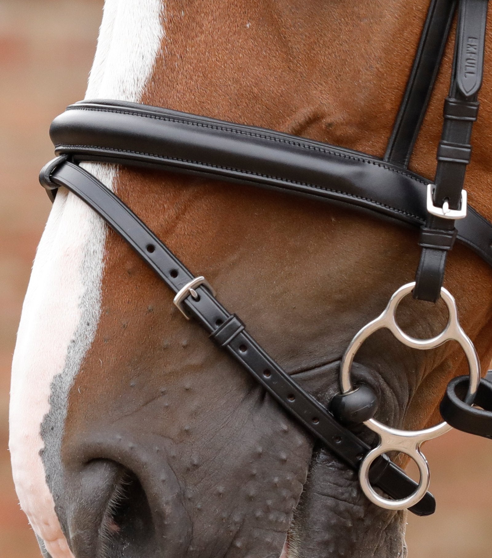 PEI Delizioso Snaffle Bridle