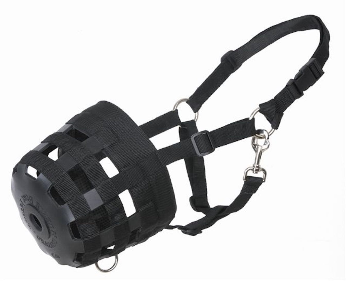 Rubber Muzzle With Halter