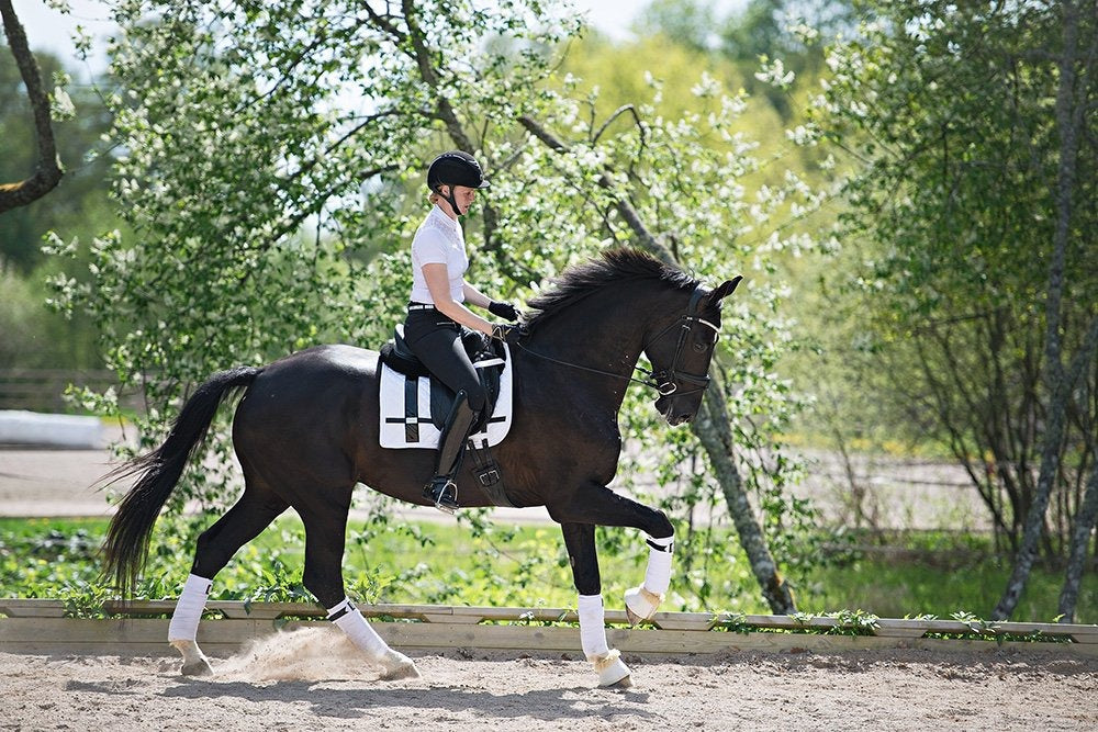 Dressage Saddle Pad No Boundaries White