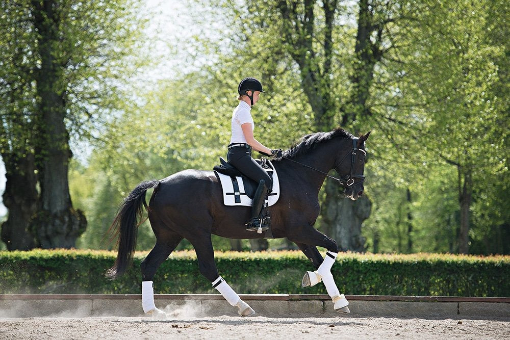 Dressage Saddle Pad No Boundaries White