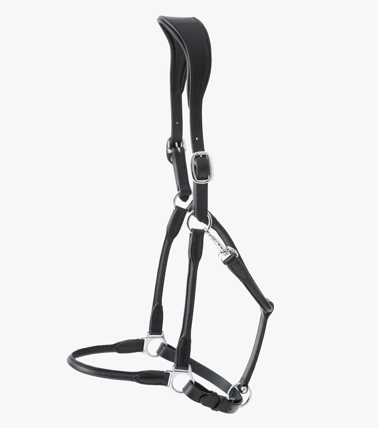 Perri's Padded Leather Halter- Horse Halters