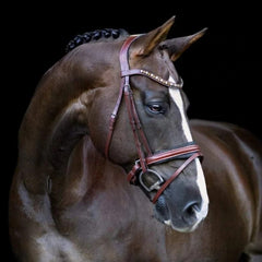 Lumiere 'Arabella' Bridle (Hanoverian) - Oak Brown