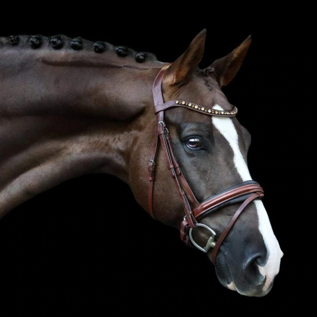 Lumiere 'Arabella' Bridle (Hanoverian) - Oak Brown