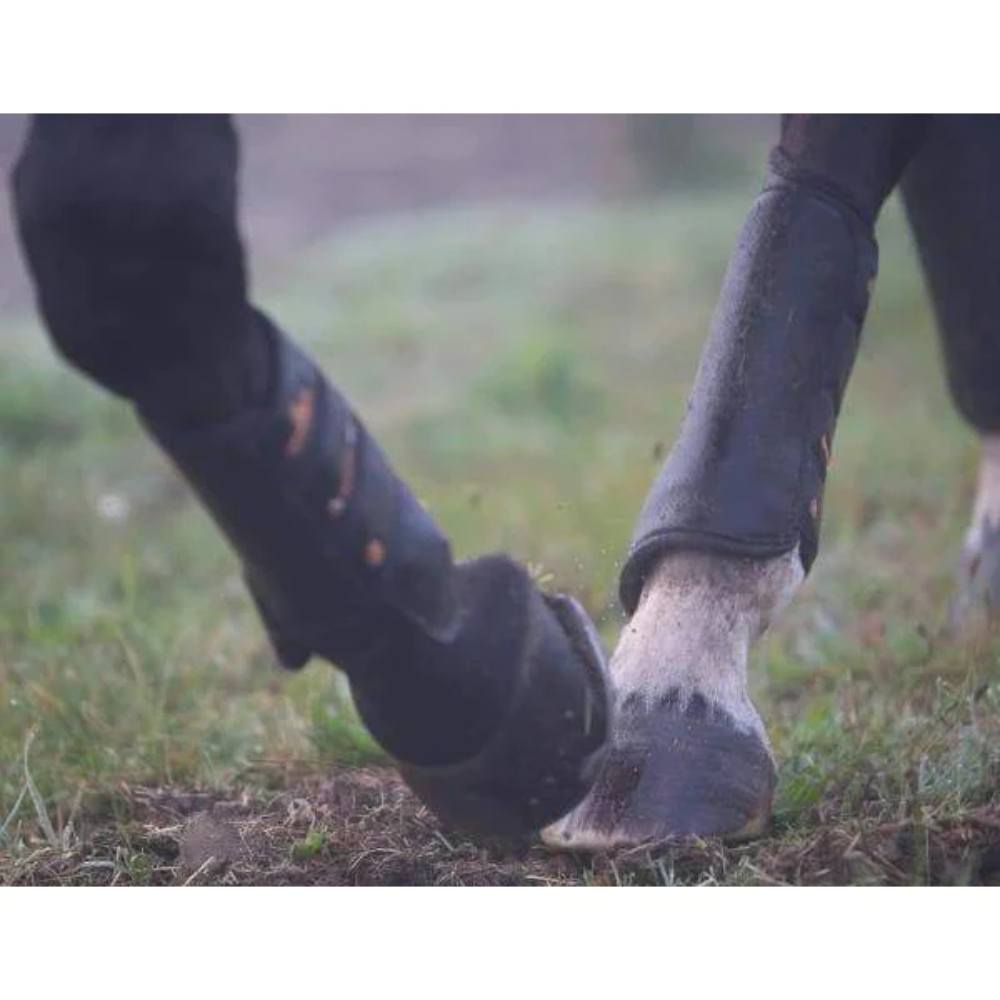 Kentucky Horsewear Air Eventing Front Boots