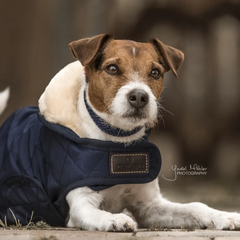 Kentucky Horsewear Dog Coat Original