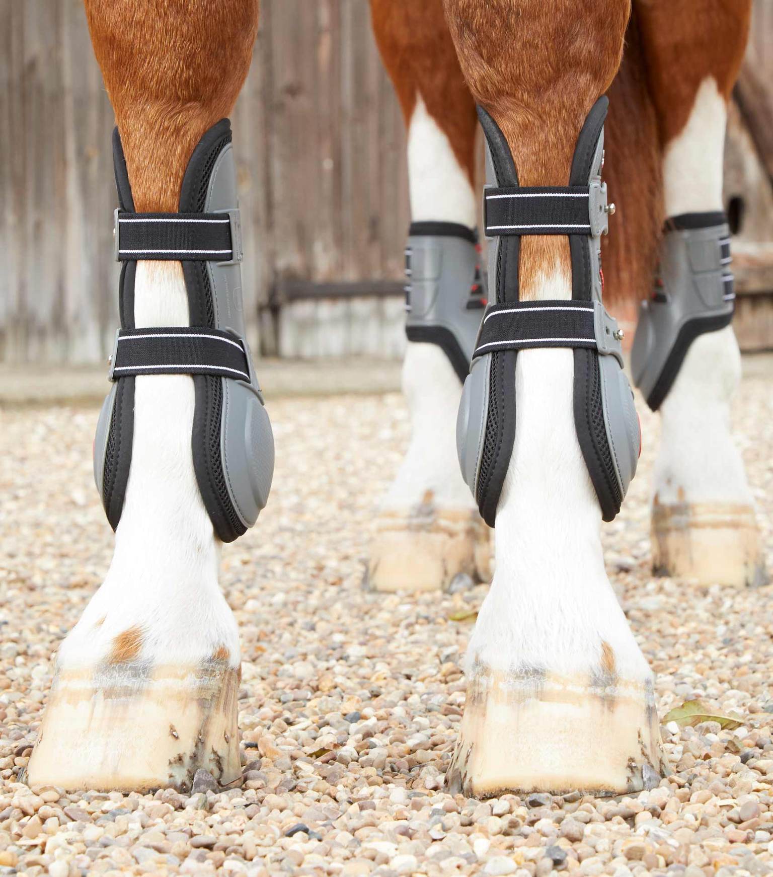 Tendon Support Boots For Horses