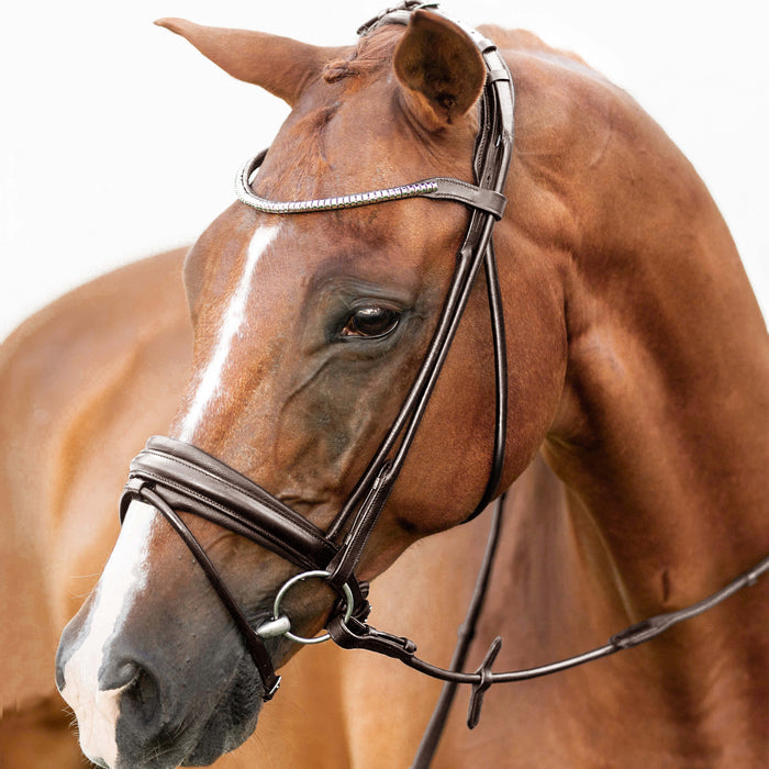 Lumiere 'Mercie' rolled Classic Bridle