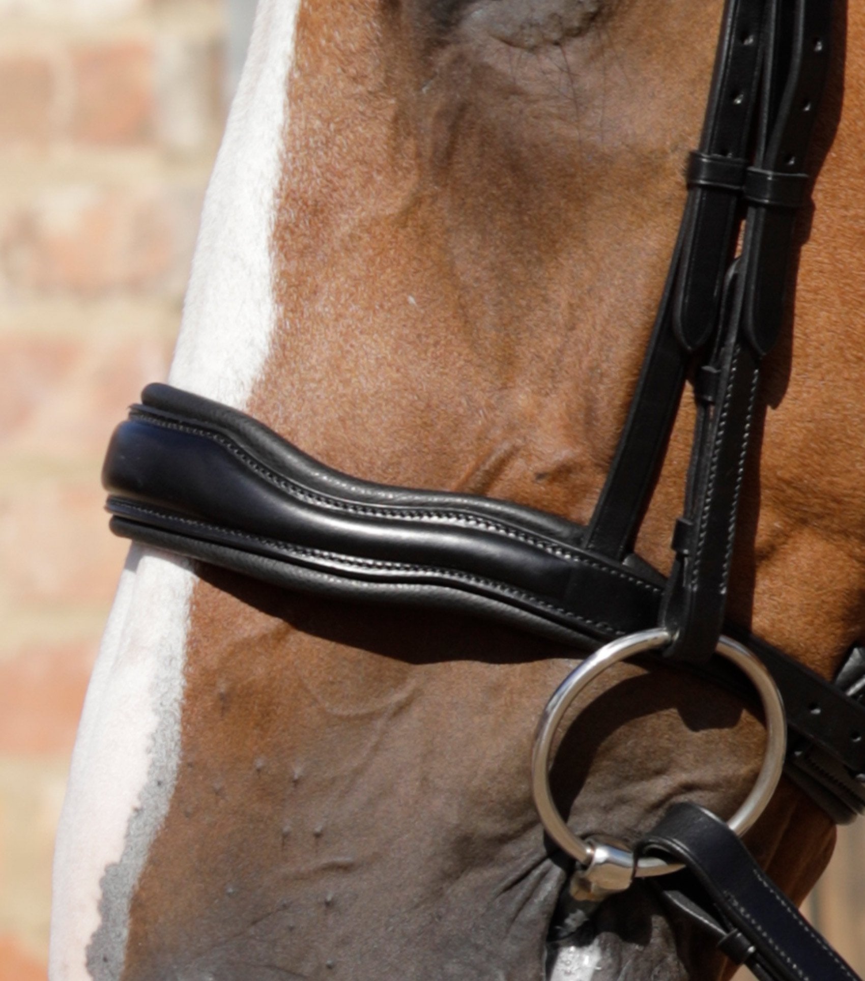 Verdura Anatomic Snaffle Bridle