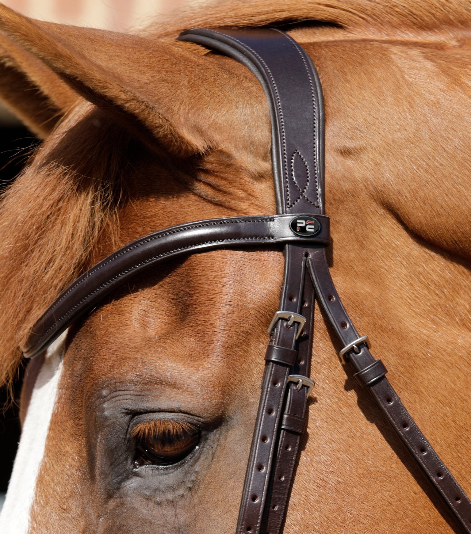 Verdura Anatomic Snaffle Bridle