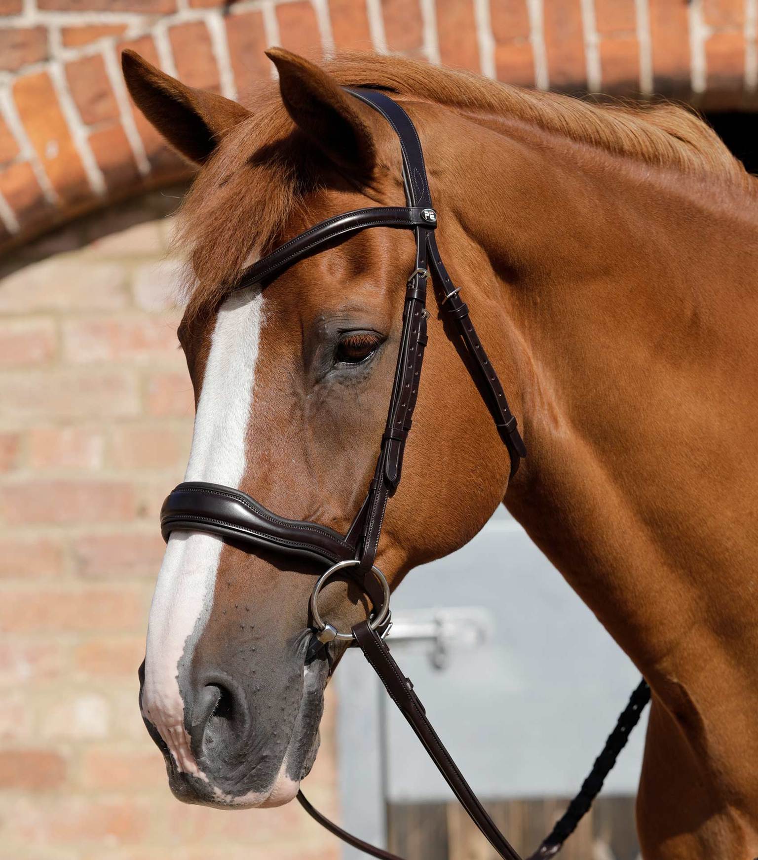 Verdura Anatomic Snaffle Bridle