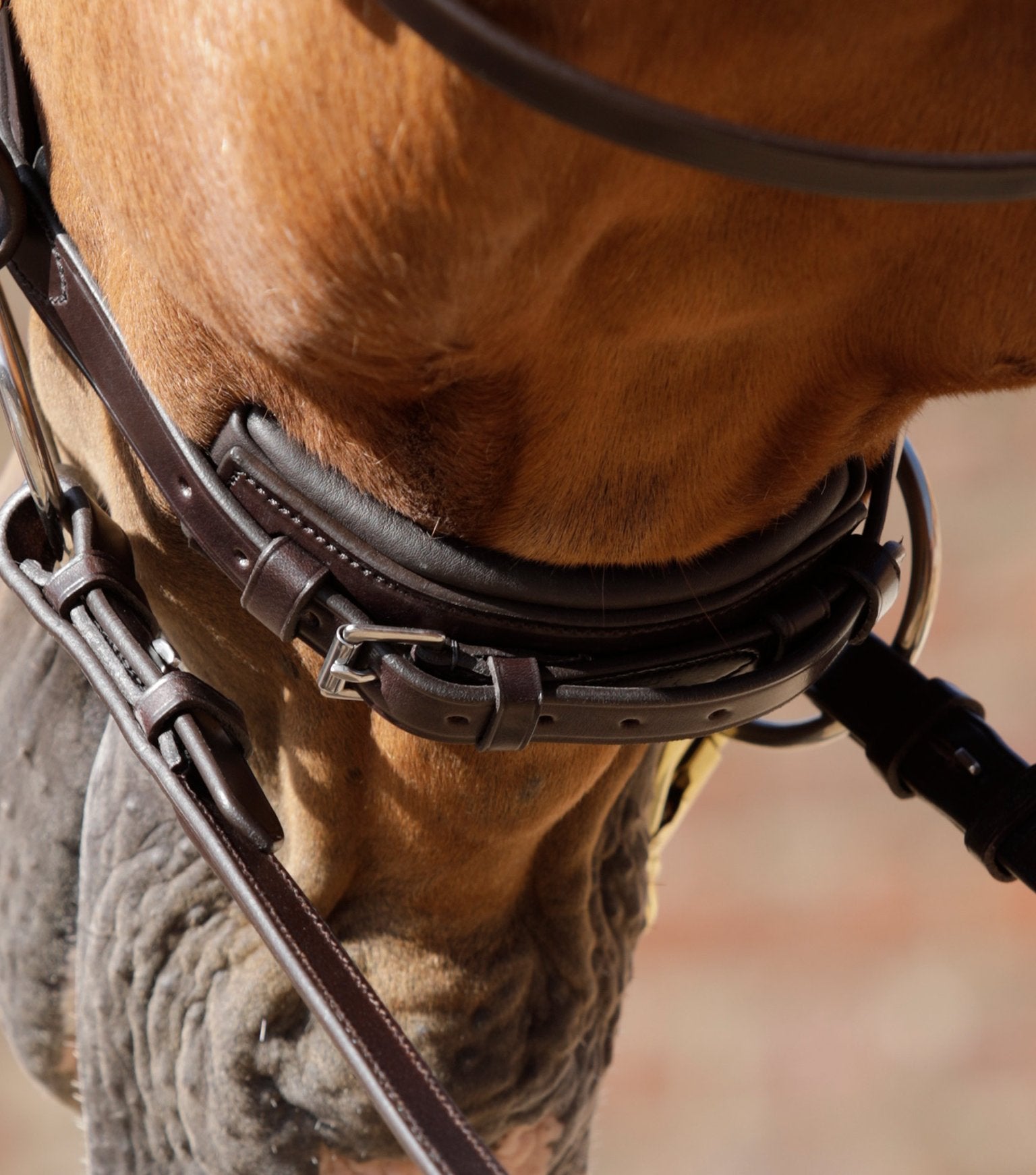 Verdura Anatomic Snaffle Bridle