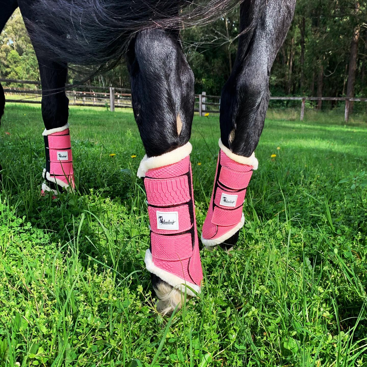 Horse Tendon Boots