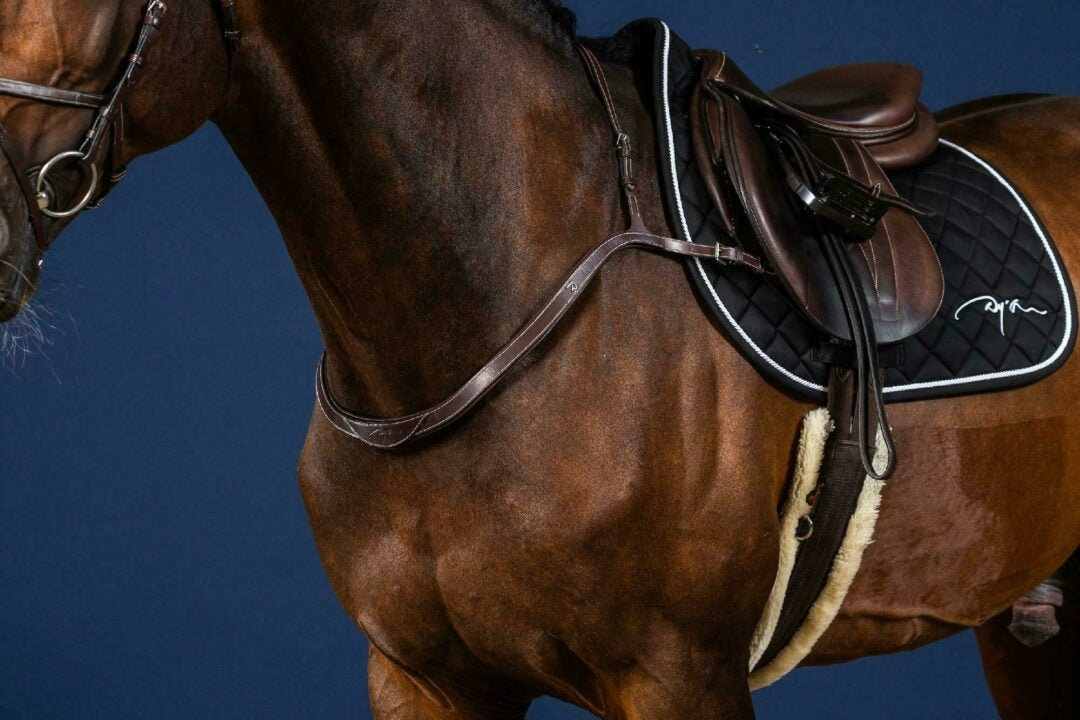 Dy'on US Jumping Collection Breast Collar