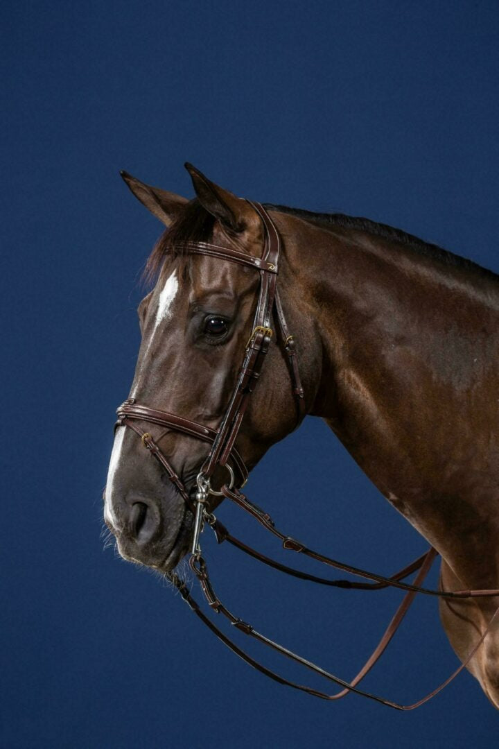 Dy'on D Collection Flash Noseband Double Bridle