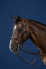 Dy'on D Collection Flash Noseband Double Bridle