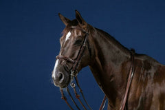 Dy'on US Jumping Collection Flash Noseband Double Bridle