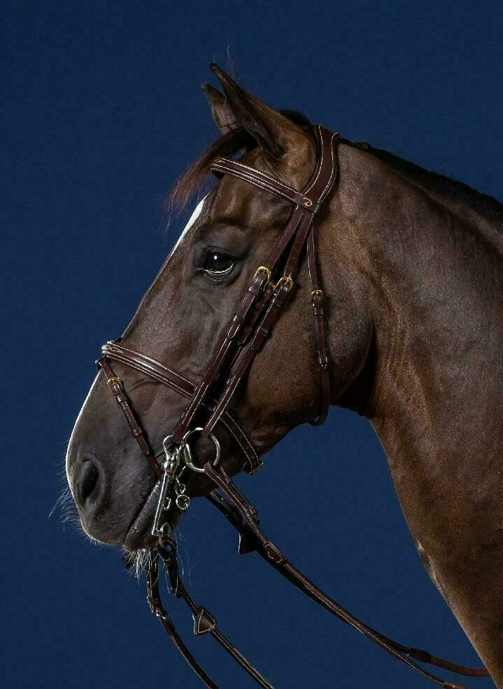 Dy'on D Collection Flash Noseband Double Bridle