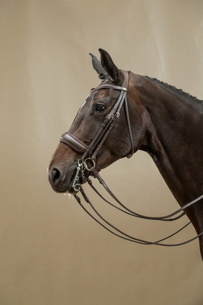 Dy'on Working Collection Matte Large Crank Noseband Double Bridle