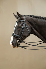 Dy'on Working Collection Matte Large Crank Noseband Double Bridle