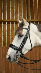 Dy'on Working Collection Matte Large Crank Noseband Double Bridle