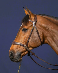 Dy'on D Collection D Motion Bridle
