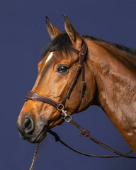 Dy'on D Collection D Motion Bridle