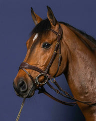 Dy'on D Collection D Motion Bridle