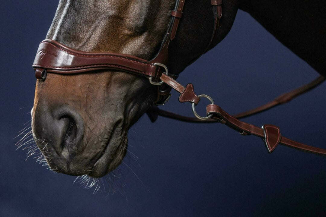 Dy'on New English Collection D Motion Bridle