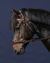 Dy'on New English Collection D Motion Bridle