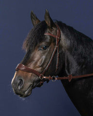 Dy'on New English Collection D Motion Bridle