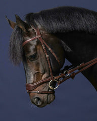Dy'on New English Collection D Motion Bridle