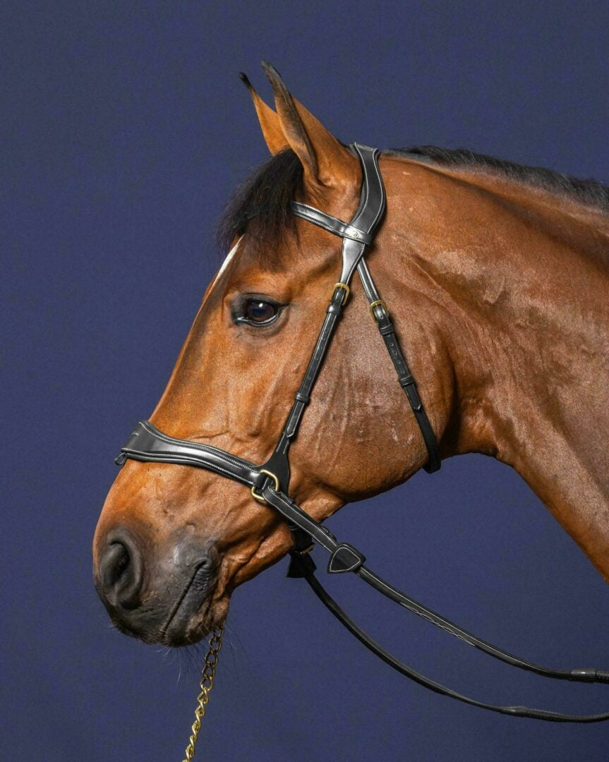 Dy'on D Collection D Motion Bridle