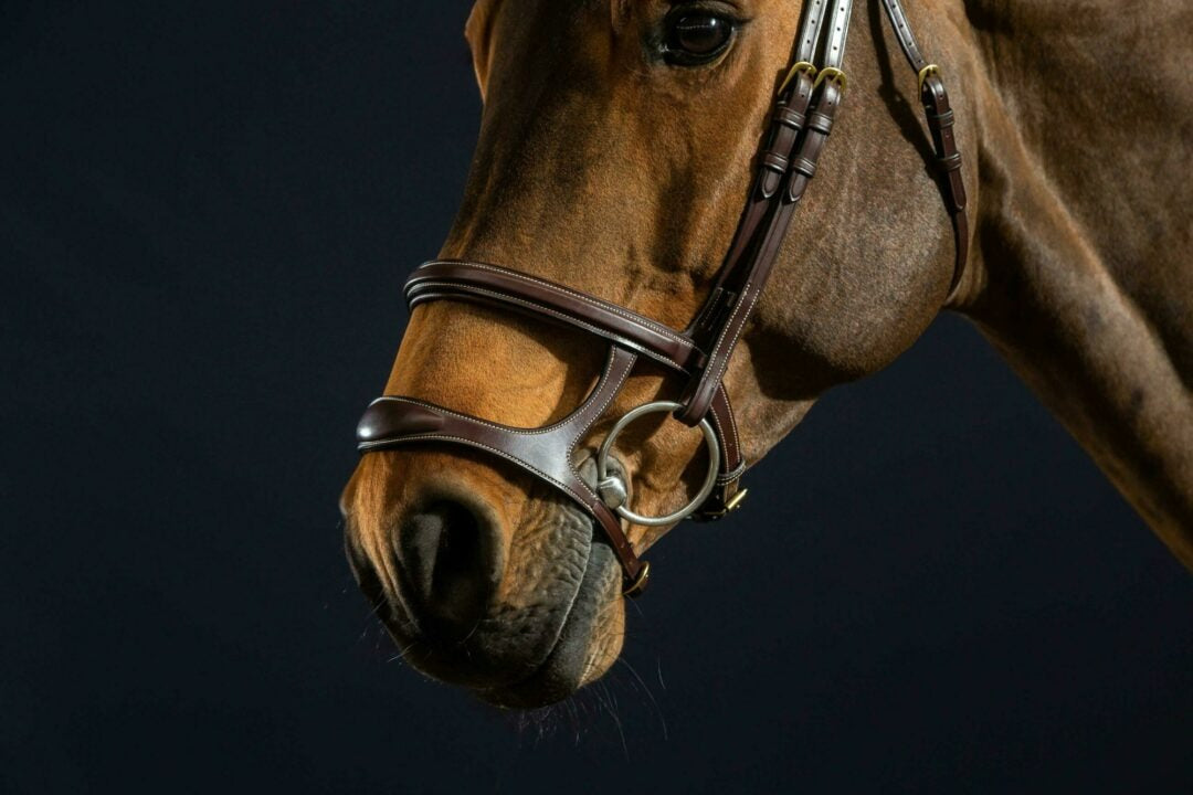Dy'on D Collection Double Noseband Bridle