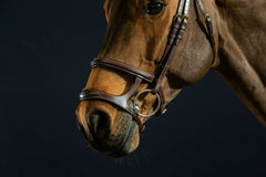 Dy'on D Collection Double Noseband Bridle