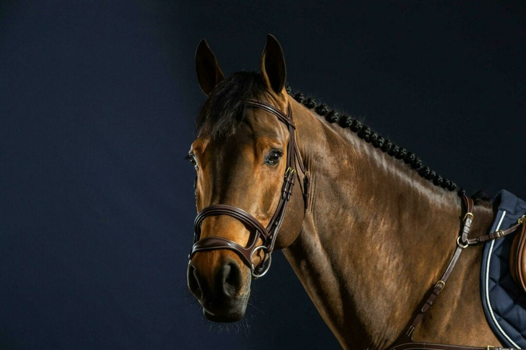 Dy'on D Collection Double Noseband Bridle