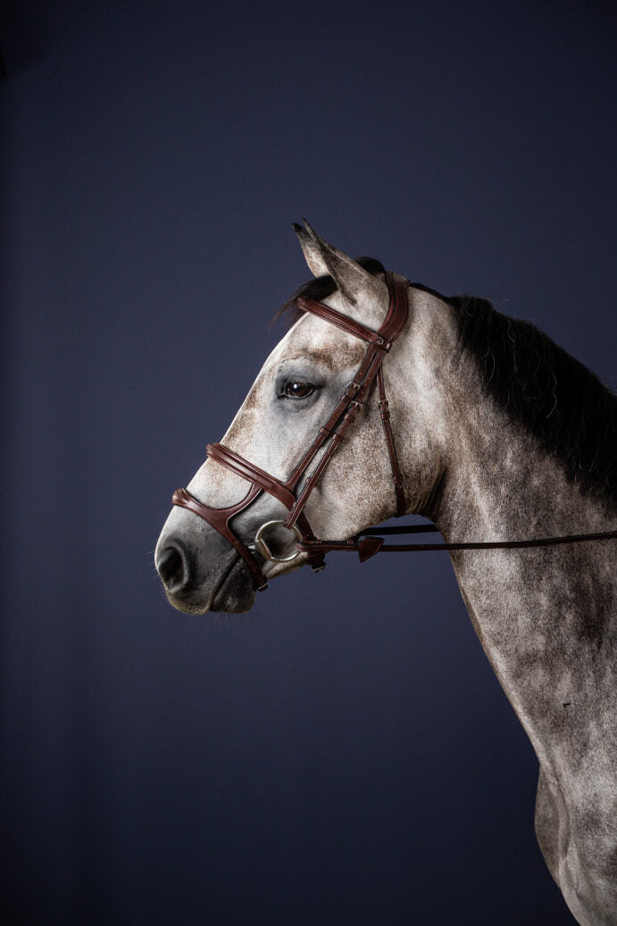 Dy'on New English Collection Double Noseband Bridle