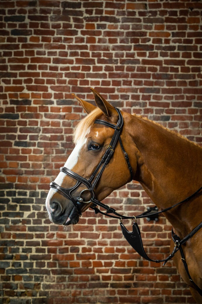 Dy'on D Collection Double Noseband Bridle