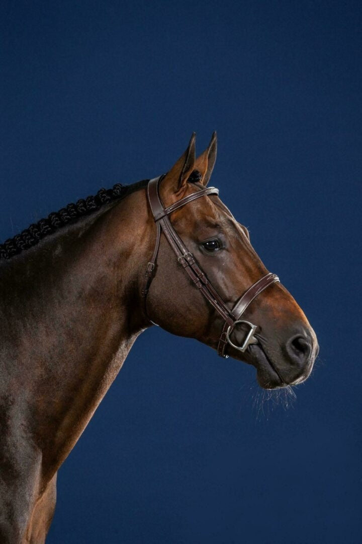 Dy'on US Hunter Collection Cavesson Hunter Noseband Bridle