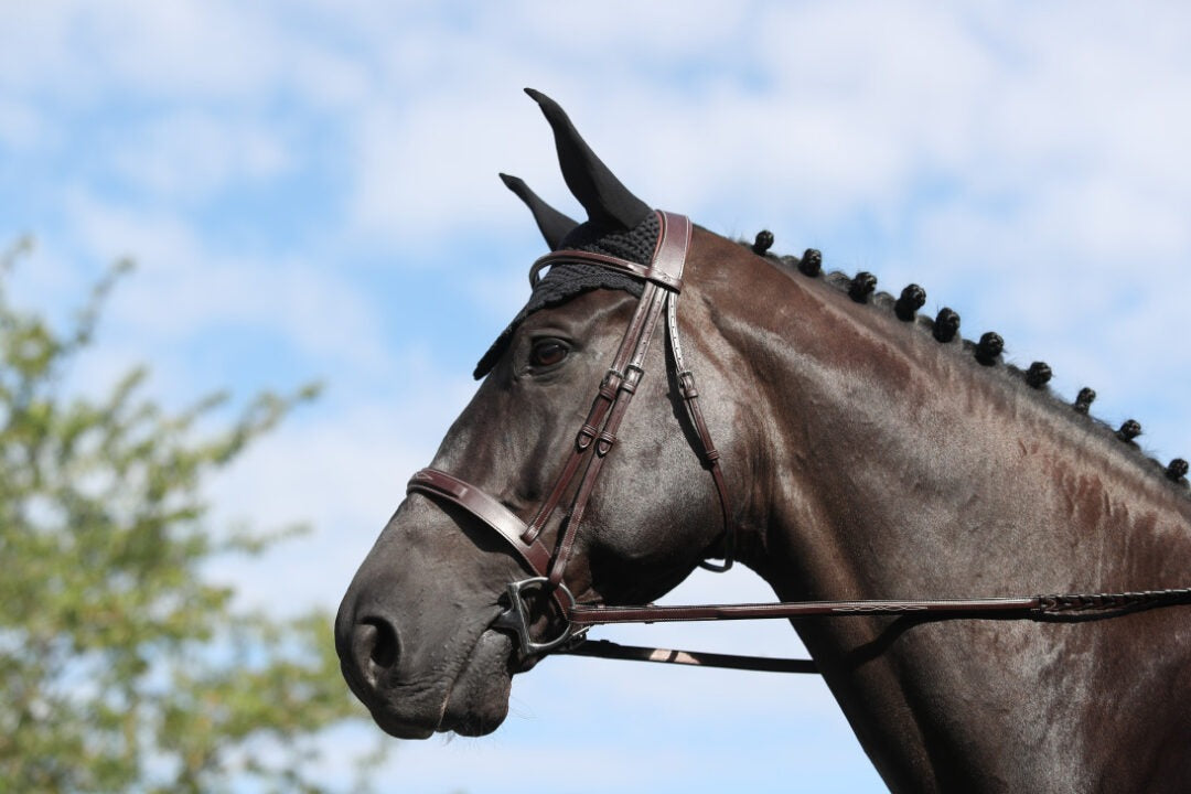 Dy'on US Hunter Collection Cavesson Hunter Noseband Bridle