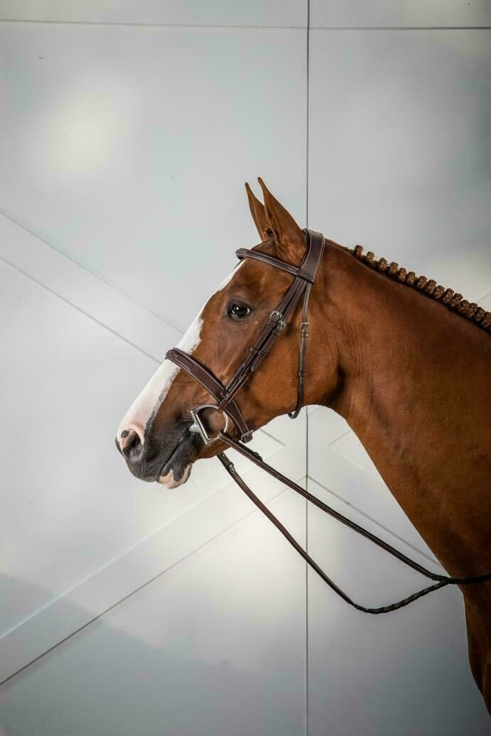 Dy'on US Hunter Collection Cavesson Hunter Noseband Bridle