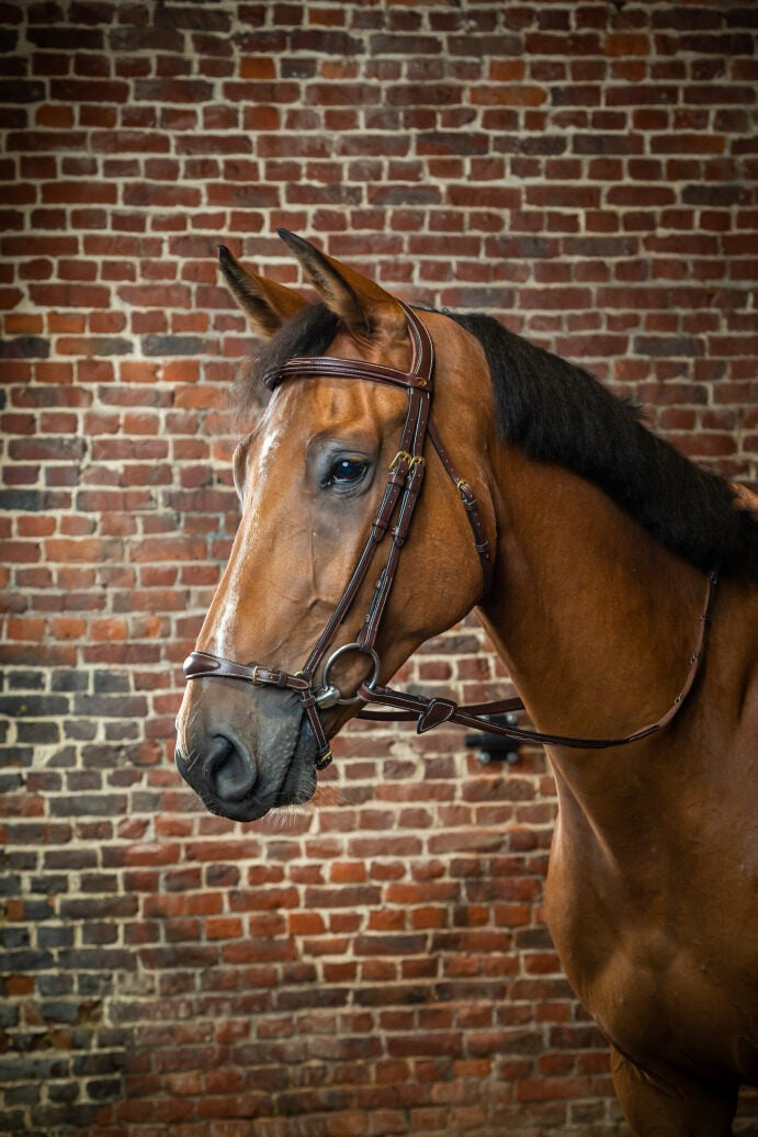 Dy'on D Collection Adjustable Drop Noseband Bridle