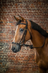 Dy'on D Collection Adjustable Drop Noseband Bridle
