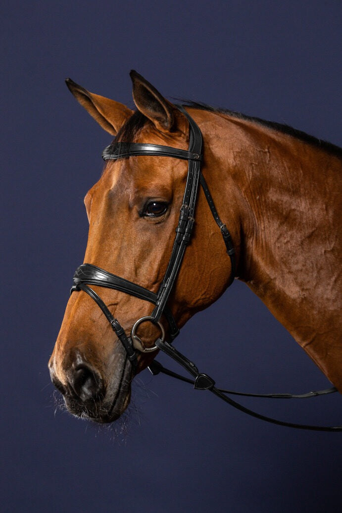 Dy'on New English Collection Anatomic Flash Noseband Bridle