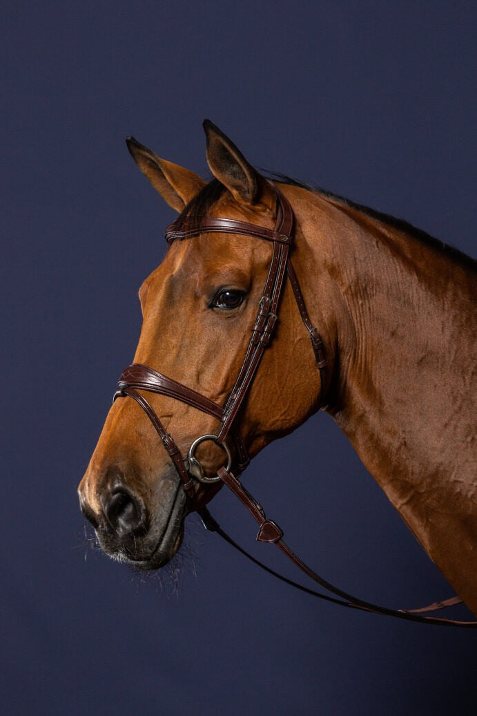 Dy'on New English Collection Anatomic Flash Noseband Bridle