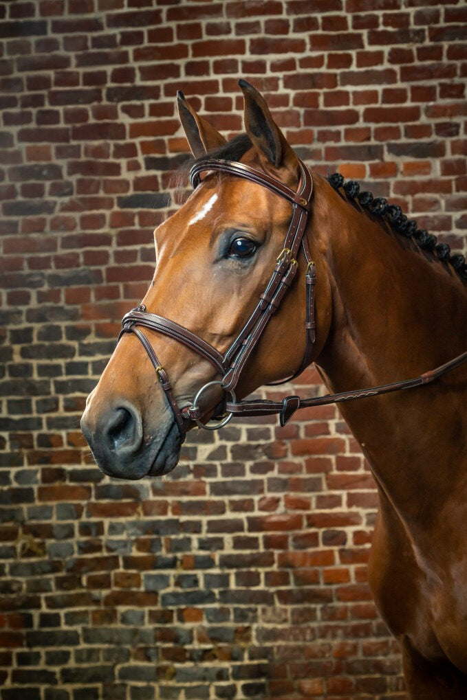 Dy'on D Collection Flash Noseband Bridle