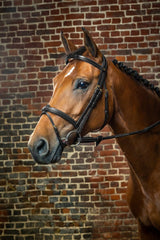 Dy'on D Collection Flash Noseband Bridle