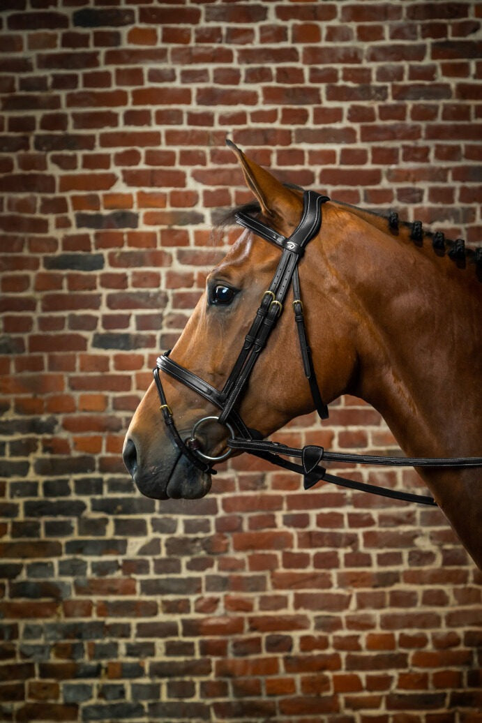 Dy'on D Collection Flash Noseband Bridle