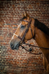 Dy'on D Collection Rope Noseband Bridle