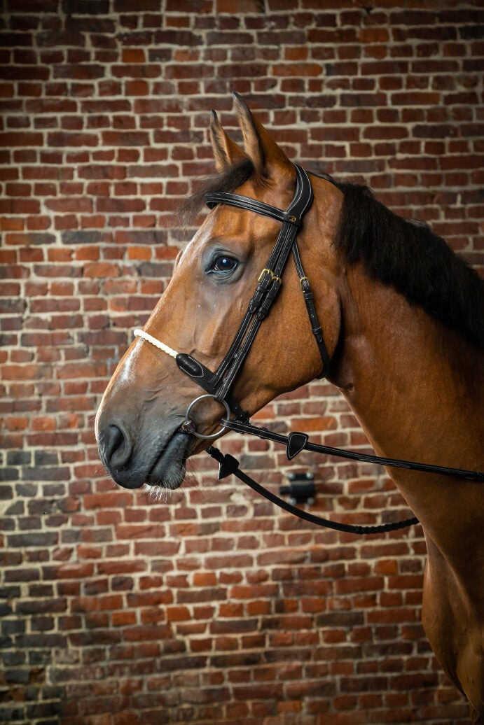 Dy'on D Collection Rope Noseband Bridle